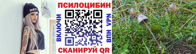 Псилоцибиновые грибы Magic Shrooms  Копейск 